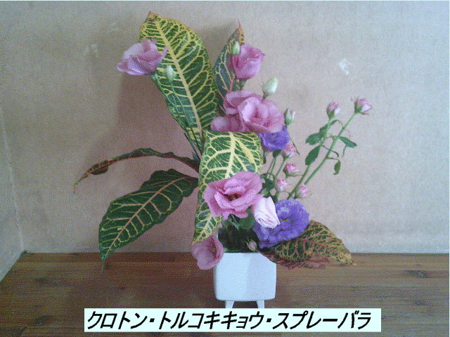 20251015top.gif