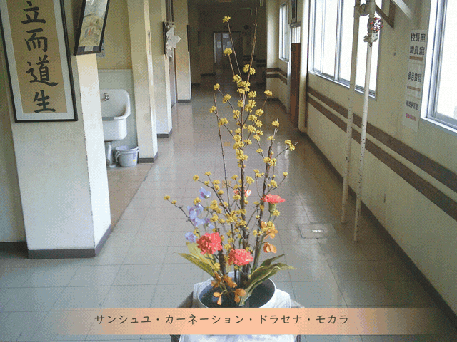 ホームページTOP用 (640 x 480 px) (1).gif