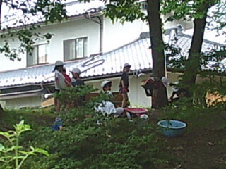 DSCF0003.JPG