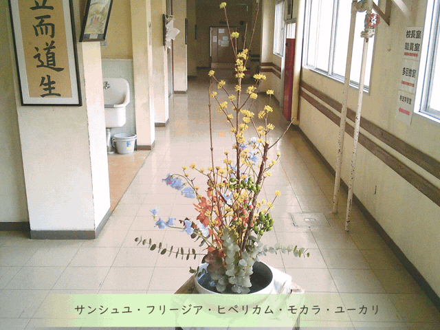 ホームページTOP用 (640 x 480 px).gif