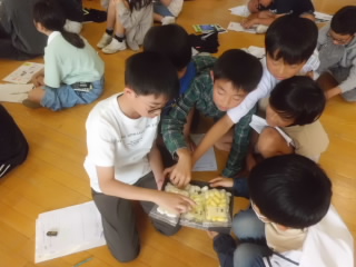 CIMG1108.JPG