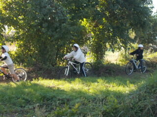 DSCN4882.JPG