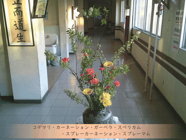 ホームページTOP用 (640 x 480 px).gif