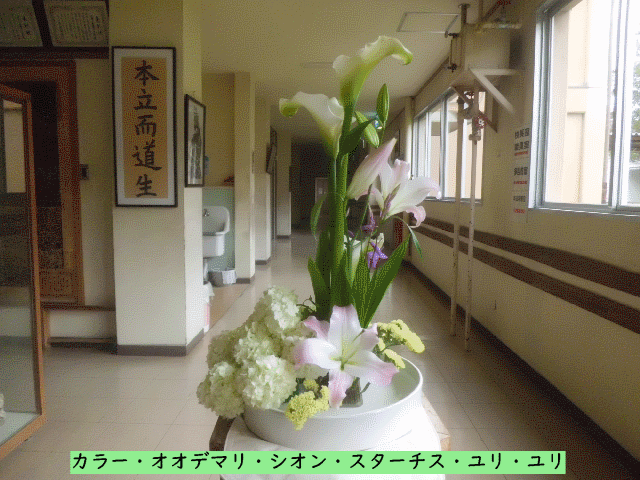 20240513top.gif