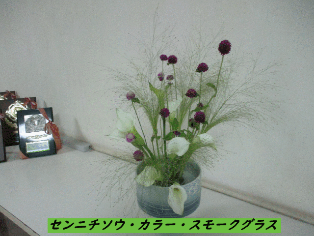 20240828top.gif