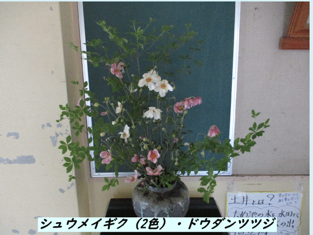 20241007top.gif