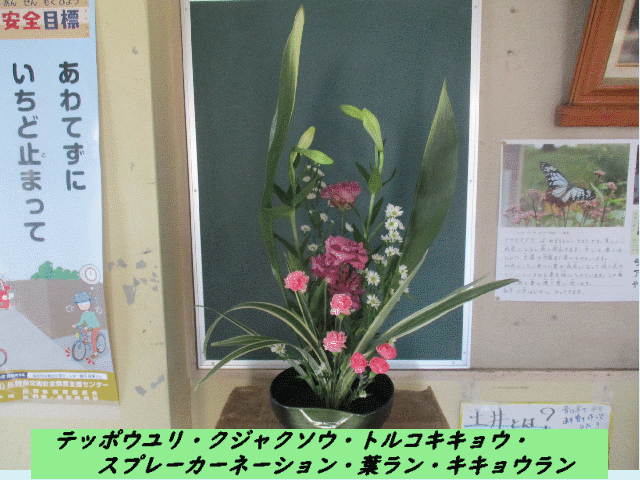 20241211top.gif