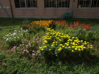 DSC00575.JPG