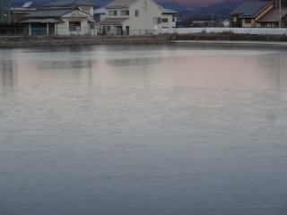 DSC07523.JPG