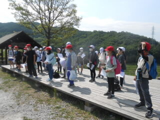 20250523taue001.JPG