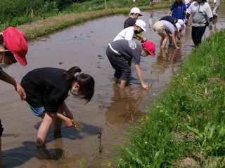 20250523taue002.JPG