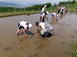20250523taue003.JPG