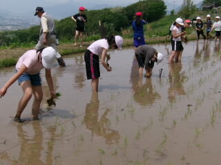 20250523taue004.JPG
