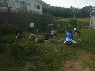 20250607pta003.JPG