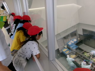 20250616kyusyoku002.jpg