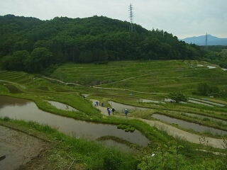 20250626tanada001.jpg
