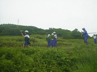 20250626tanada002.JPG