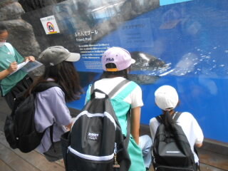20250717umi003.JPG