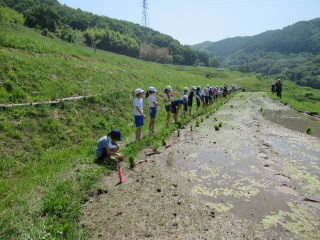 20200605taue5nen001.JPG