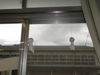 20200709suiei001.jpg