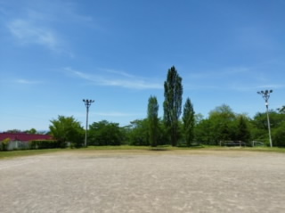 20240511mitigaeru004.jpg