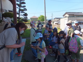20240518ayame001.JPG