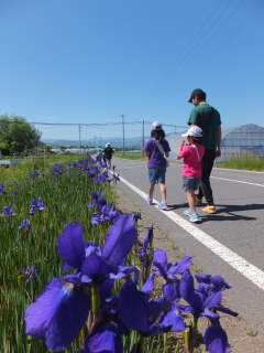 20240518ayame002.JPG