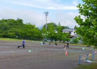 20240601undoukai009.jpg