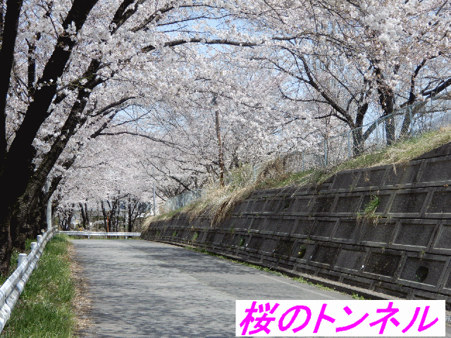 top20240430.gif