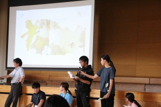 60612kochokowa (4).jpg