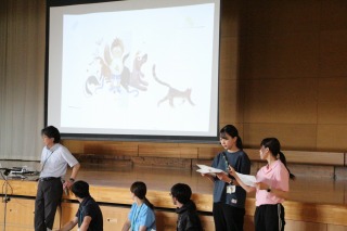 60612kochokowa (5).jpg