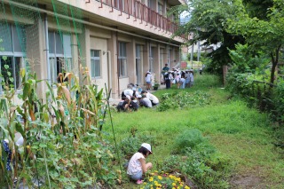 60828kusatori (1).jpg