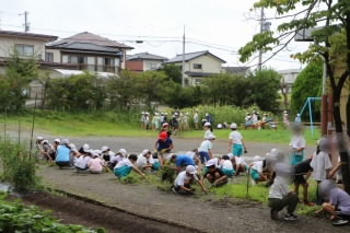 60828kusatori (2).jpg