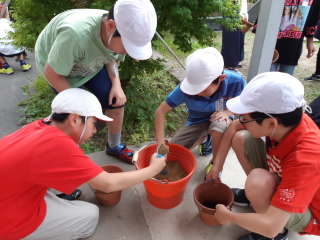 20190627kikuuekae002.jpg