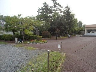 s-P1010064.jpg