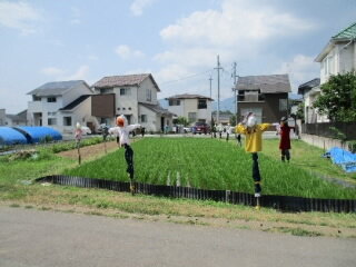 20250714-5-2.jpg