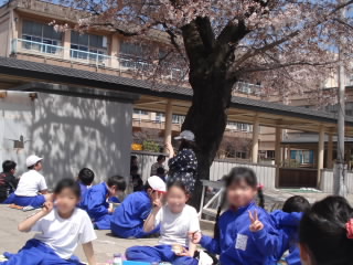 20190418ohanamikyuusyoku009.jpg