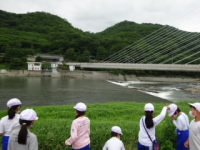 20200622teibousanpo002.JPG