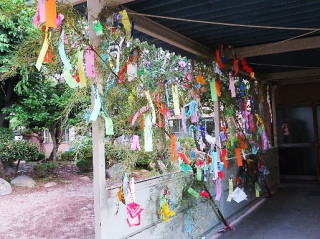 202007tanabata.jpg