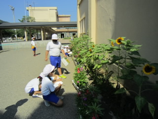 20200826rika003.JPG