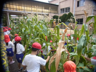 20200916popcorn001.JPG