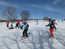 20230227_6skiscol.jpg