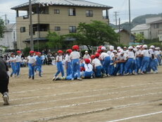 undou3302.jpg