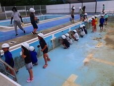IMG_6466.jpg