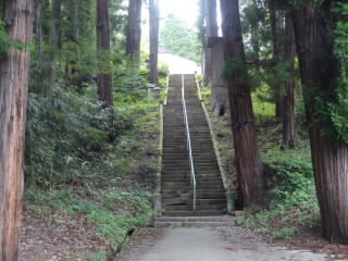 DSC04034.JPG