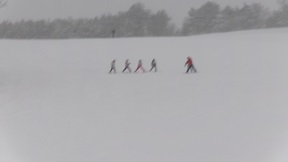 4ski1.jpg