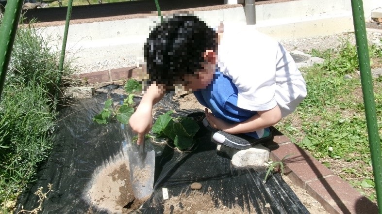 taiyou2.jpg