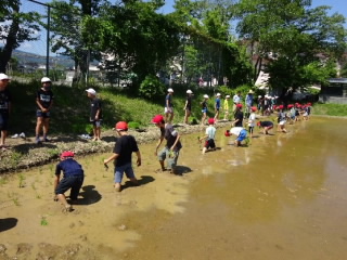taue4401.jpg