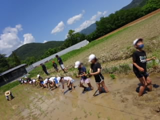 taue4402.jpg