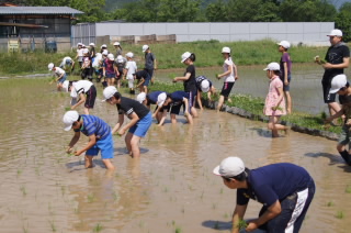 taue55nen003.JPG